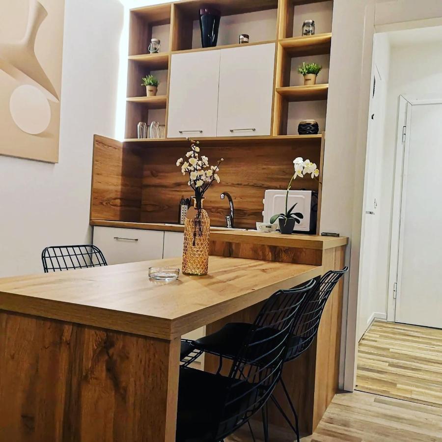 New Modern Apartment In The Center Of تيرانا المظهر الخارجي الصورة